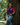 SB SHORT SLEEVE WOMEN'S REPLICA SHIRT